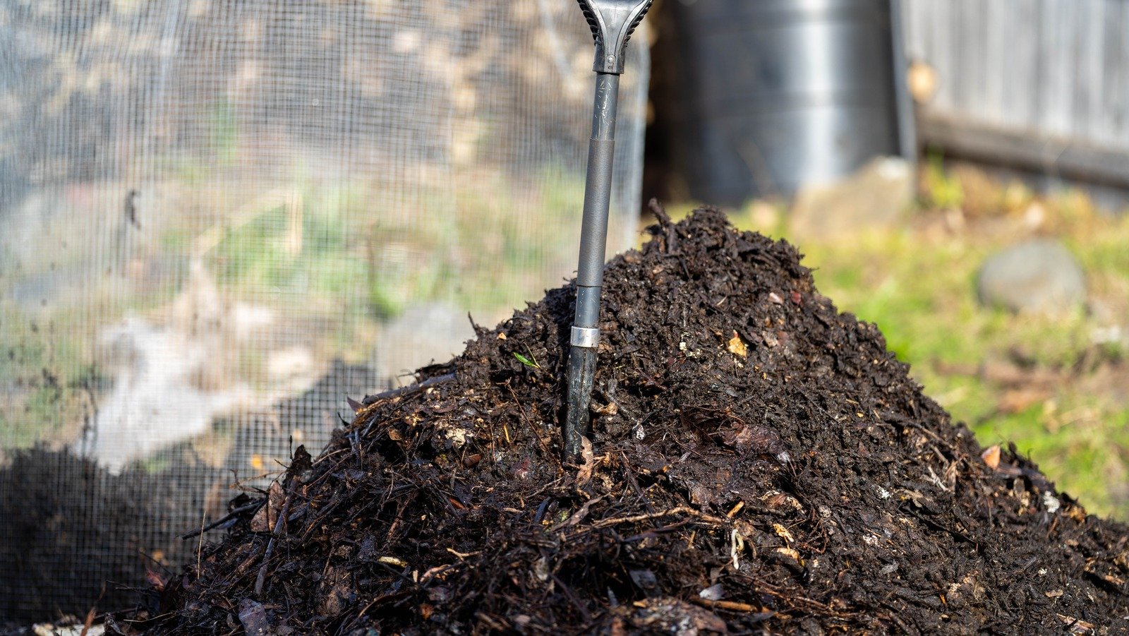 Mushroom Compost